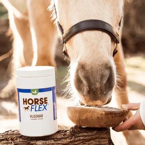 Psyllium (Flohsamen)